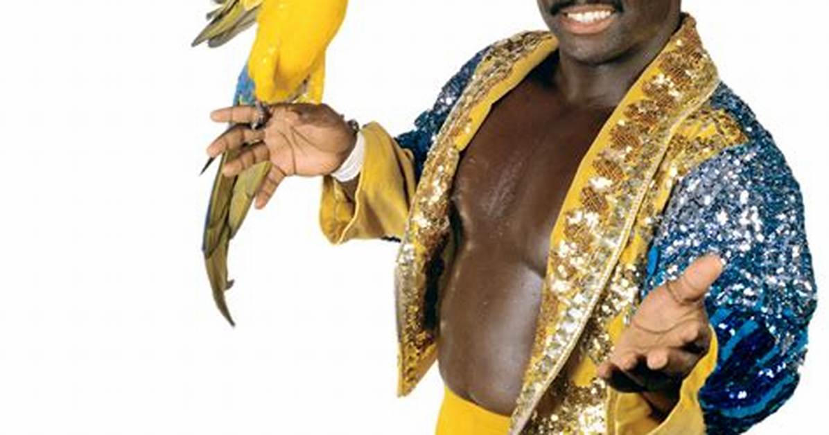 Koko B. Ware
