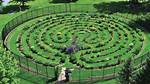 Labyrinth