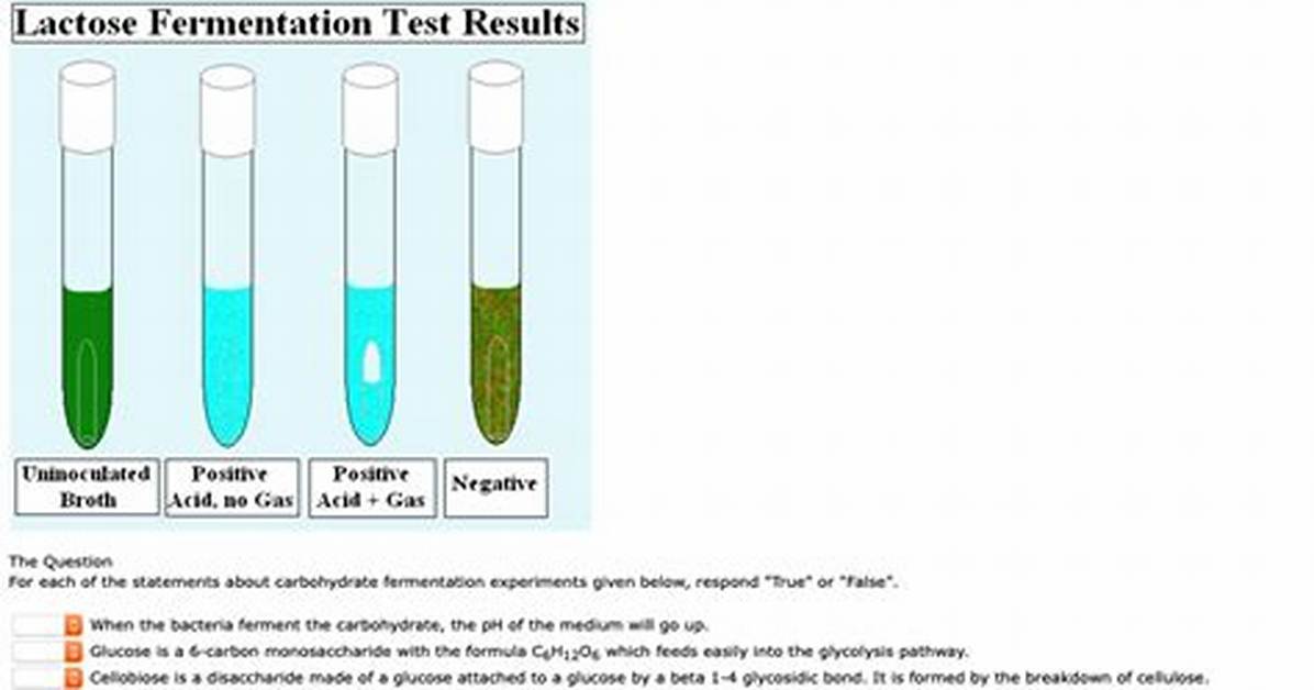 Lactose Fermentation Test