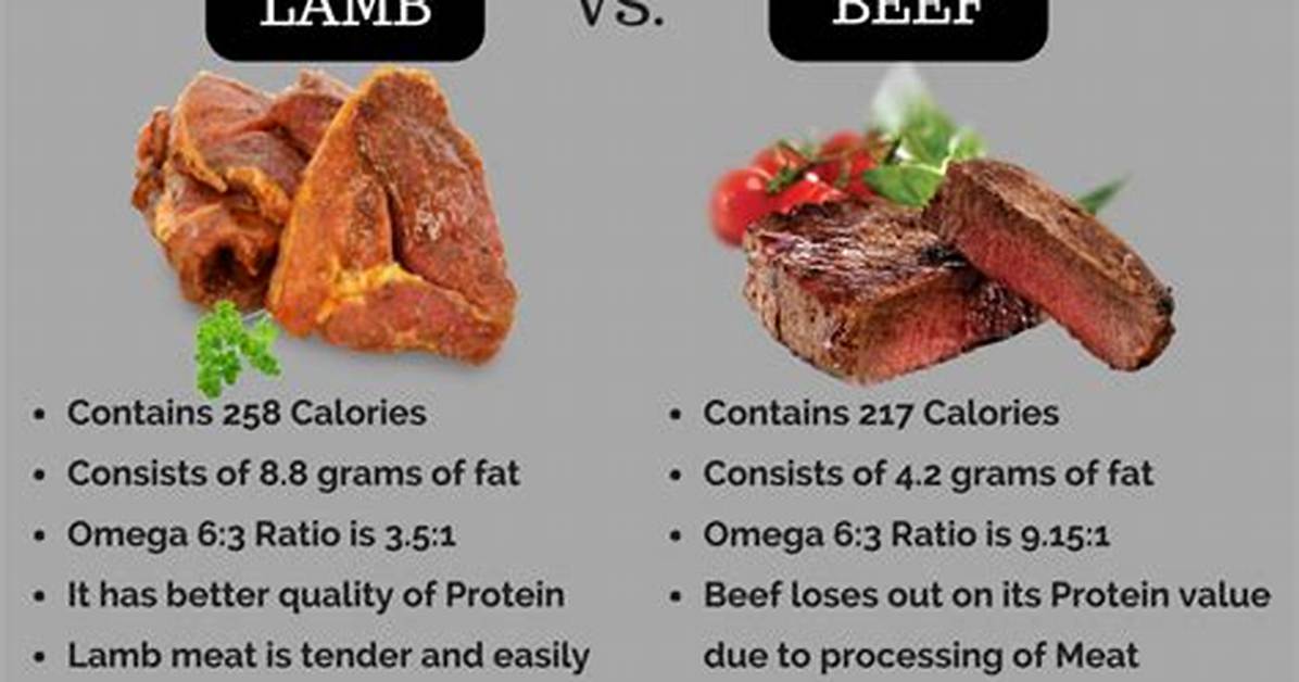 Lamb vs Beef