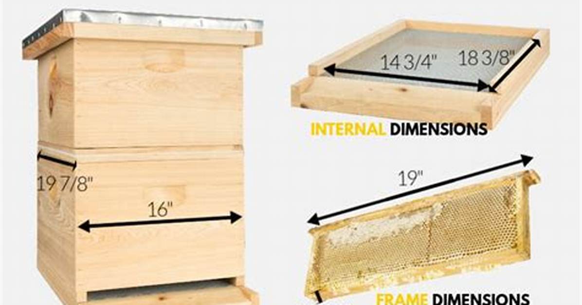 Langstroth Hive Dimensions