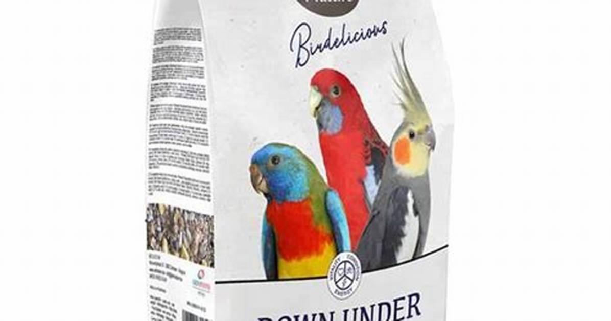 Large Bird from Down Under