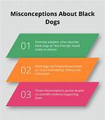 Large, Black Dogs Less Likely to Be Adopted