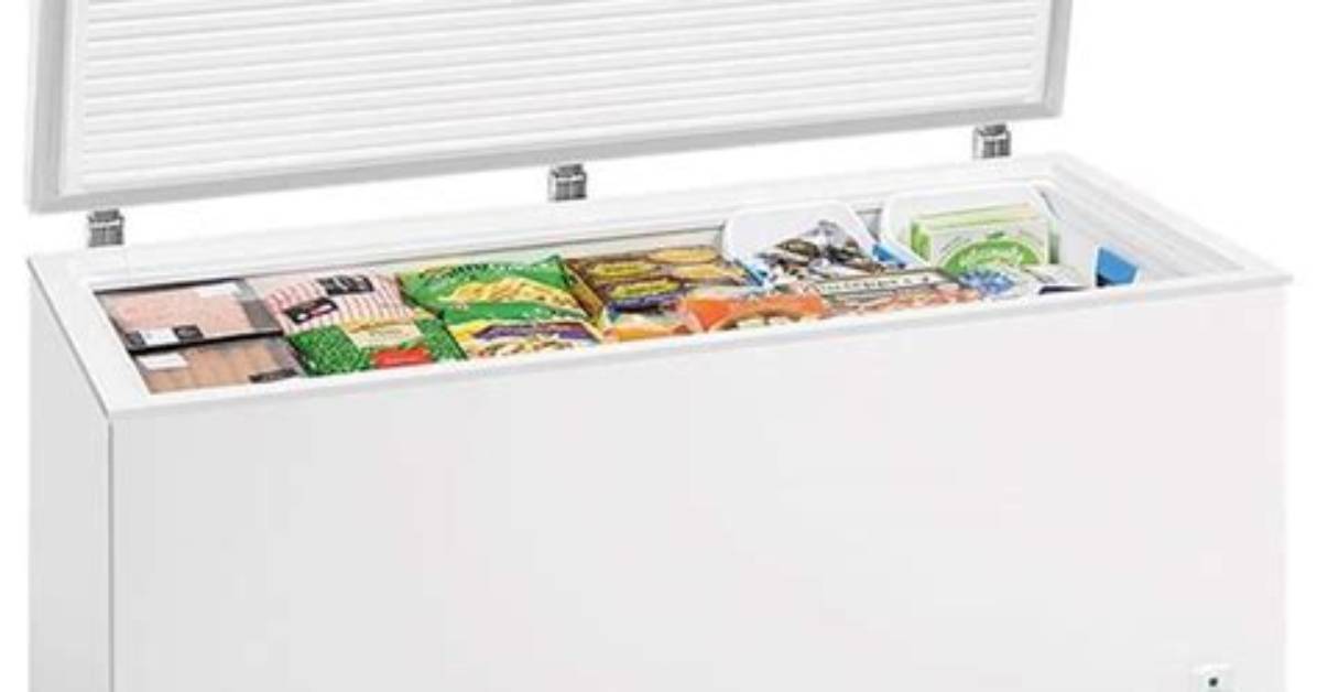 Large Chest Freezer