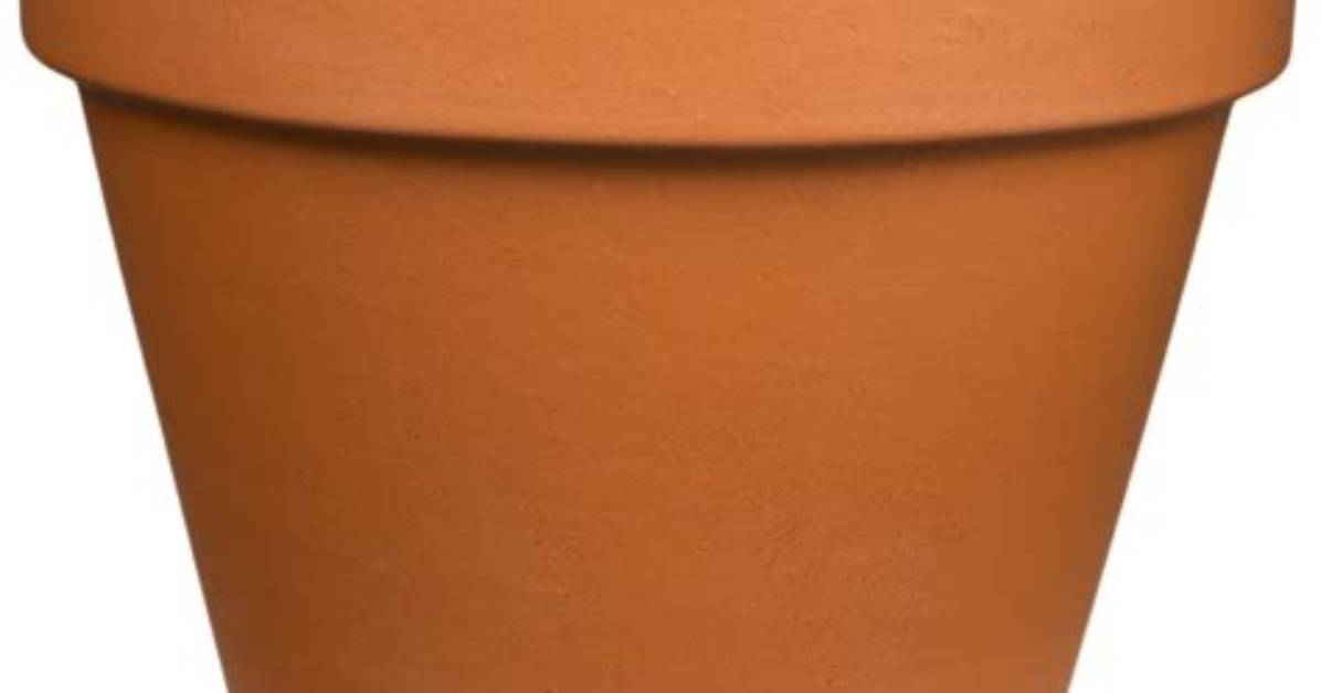 Large Clay Pots