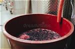 Large Container for Winemaking