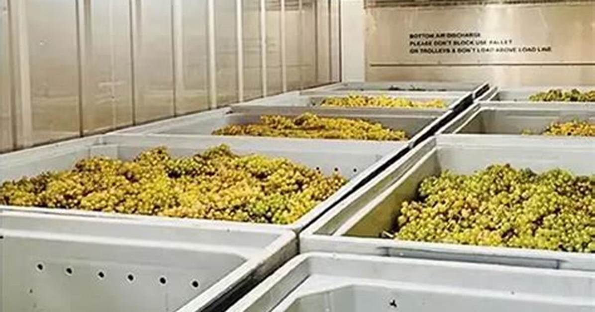 Large Containers in Wineries