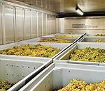Large Containers in Wineries