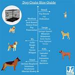 Large Dog Crate Dimensions