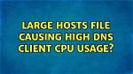 Large Hosts File Causing High Dns Client Cpu Usage?