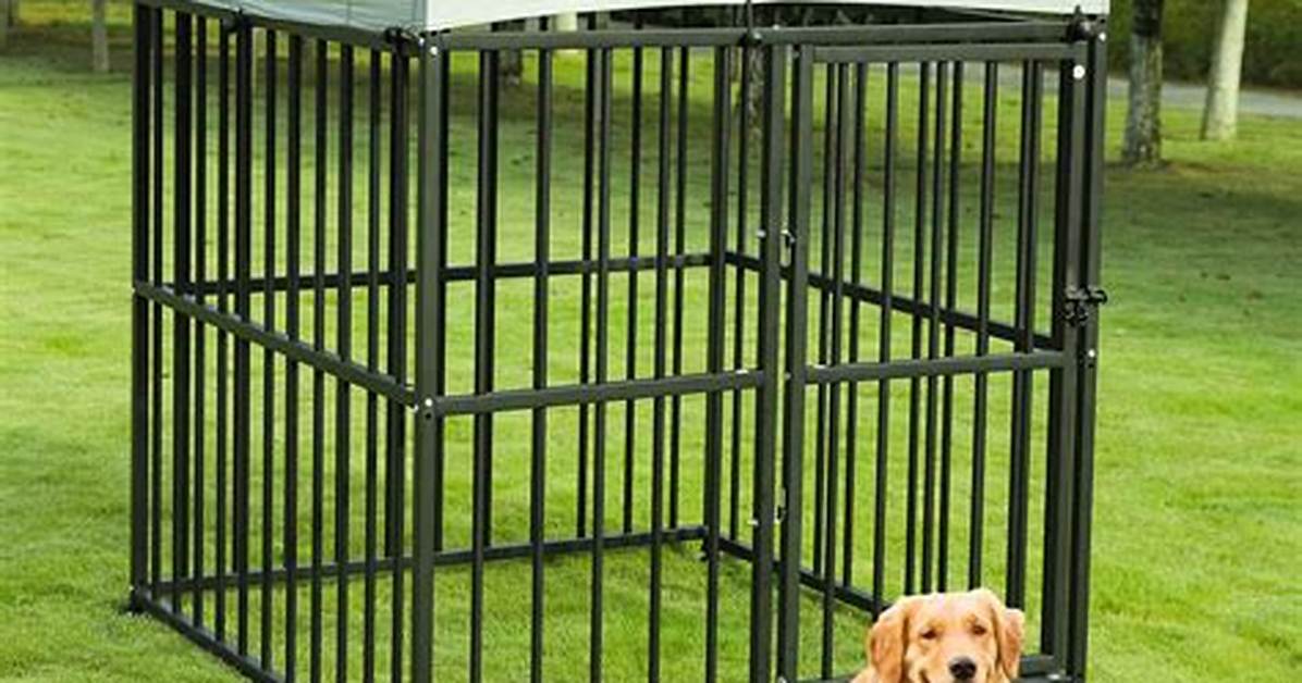 Large Kennel