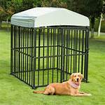 Large Kennel
