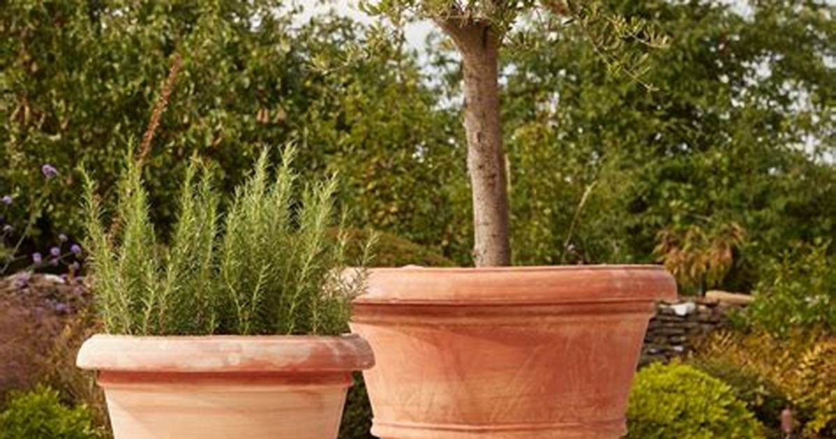 Large Pot
