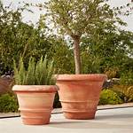 Large Pot