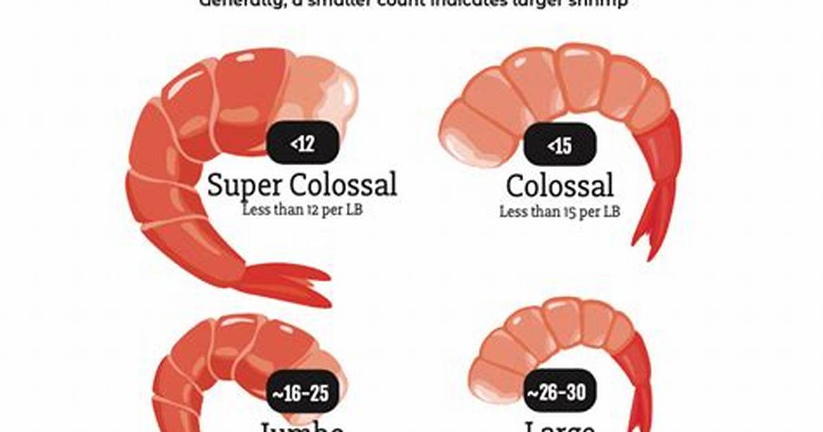 Large Shrimp