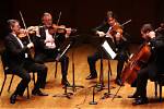 Largest Instrument in a Typical String Quartet