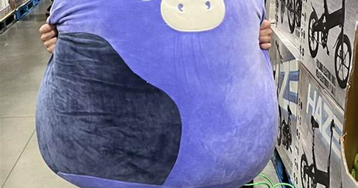Largest Squishmallow
