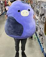 Largest Squishmallow
