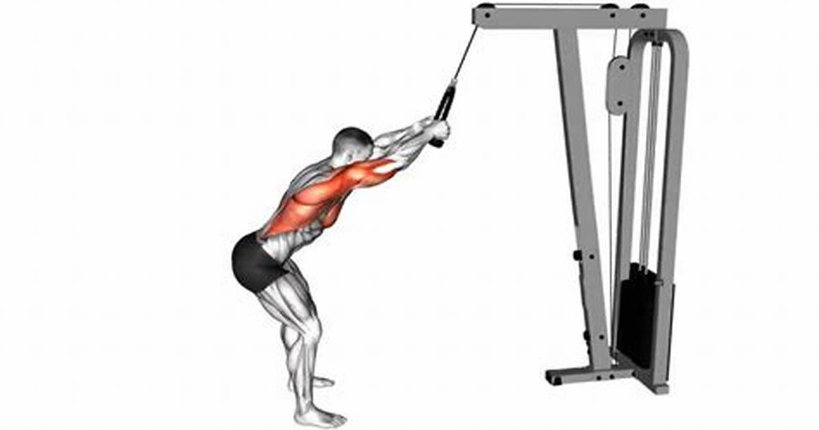 Lat Push Down