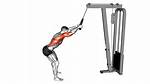 Lat Push Down
