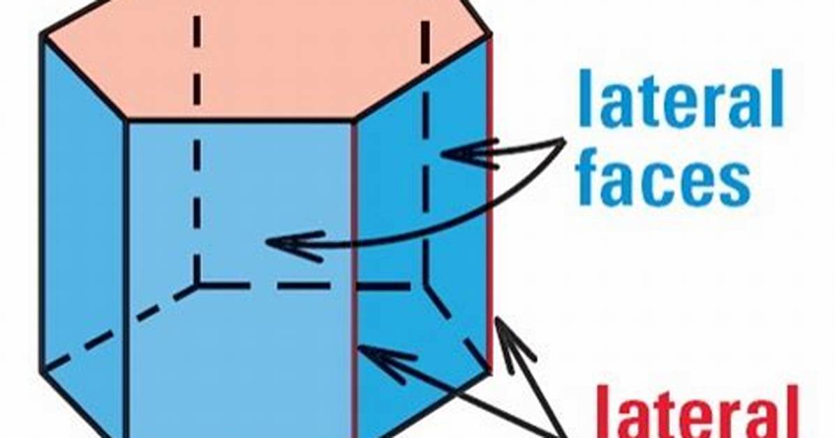 Lateral Faces