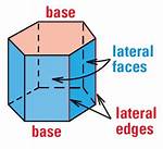 Lateral Faces