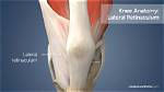 Lateral Retinaculum