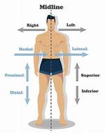 Lateral Sides