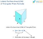 Lateral Surface Area Prism