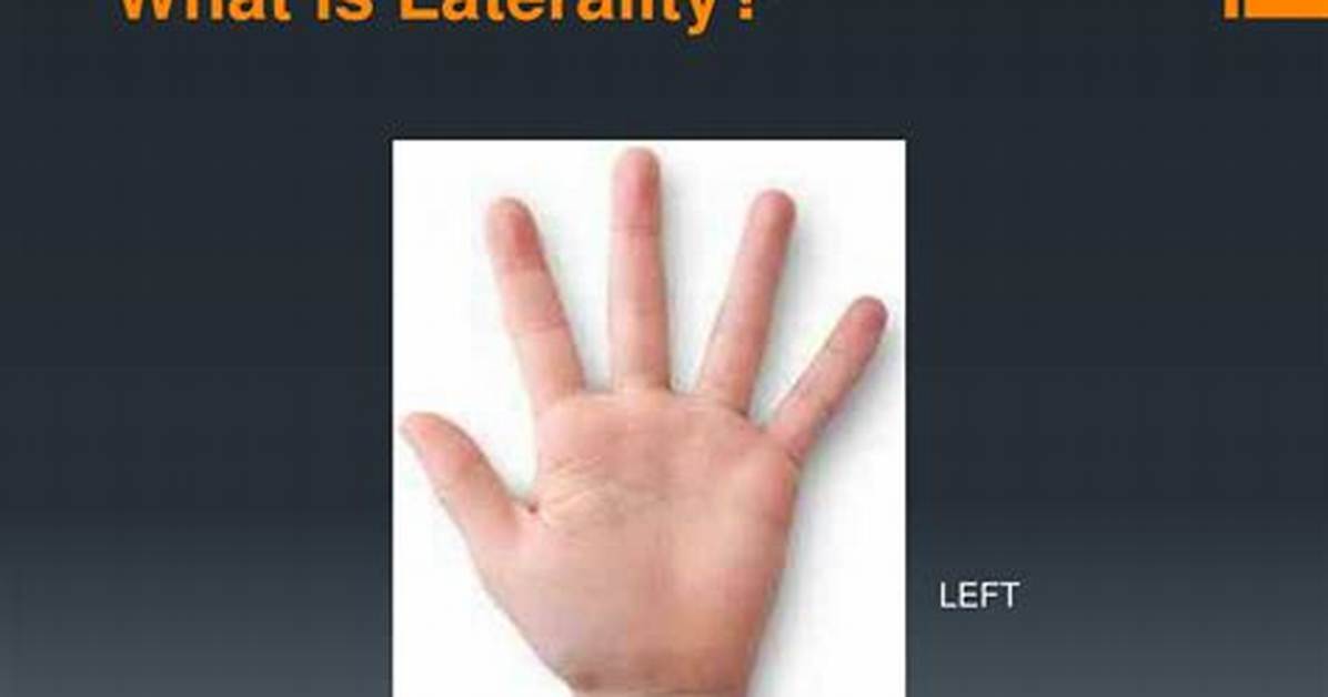 Laterality Meaning