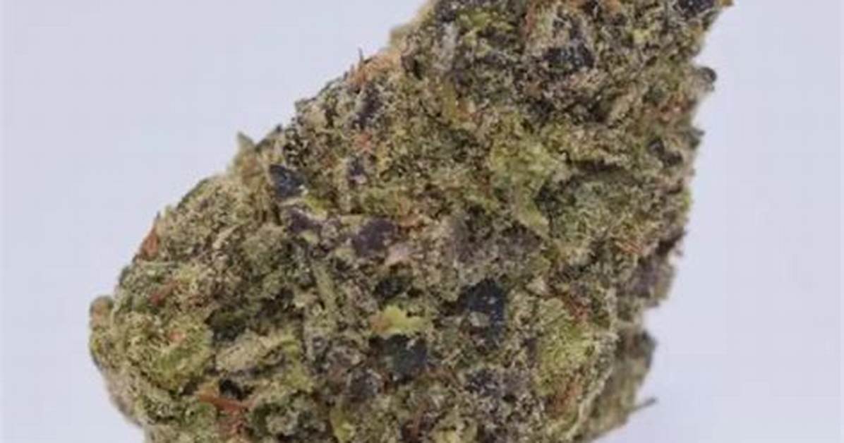 Lavender Strain