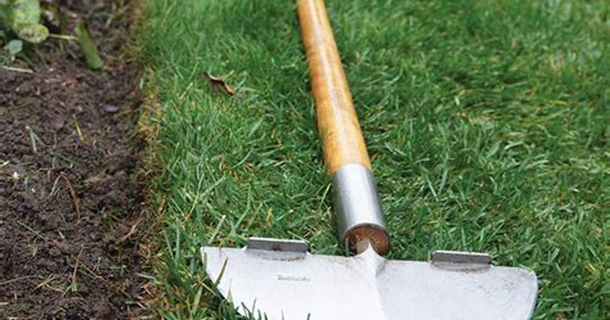 Lawn Edging Tool