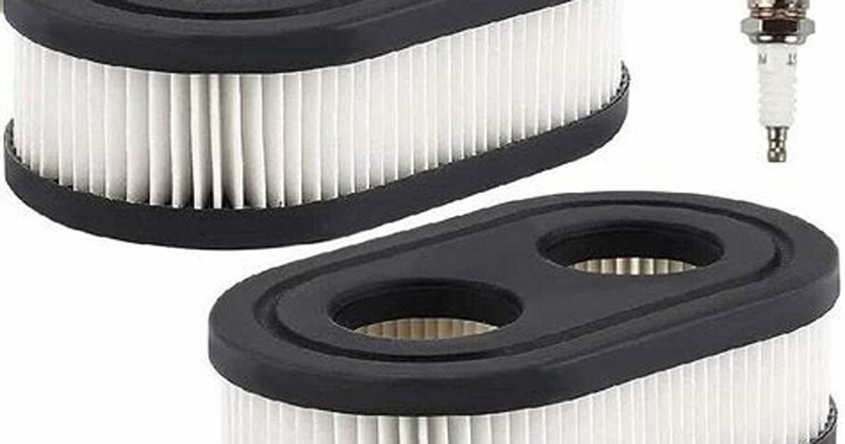 Lawn Mower Filter