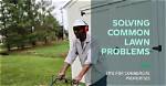 Lawn Mowing Problem Solving