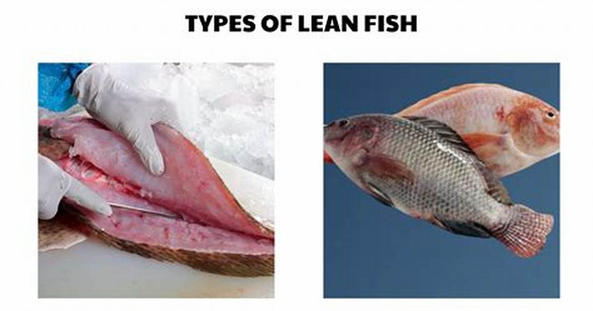 Lean Fish