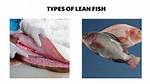 Lean Fish