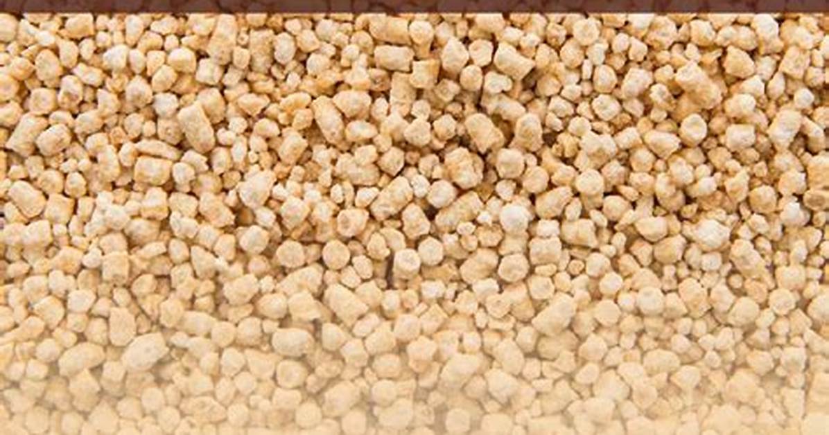 Lecithin Side Effects