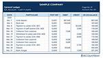 Ledger Account Format