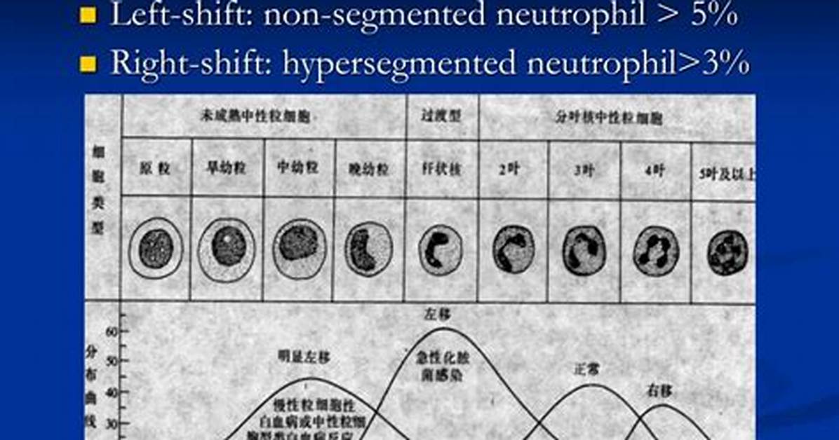 Left Shift Wbc