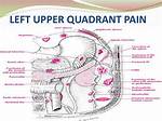 Left Upper Quadrant