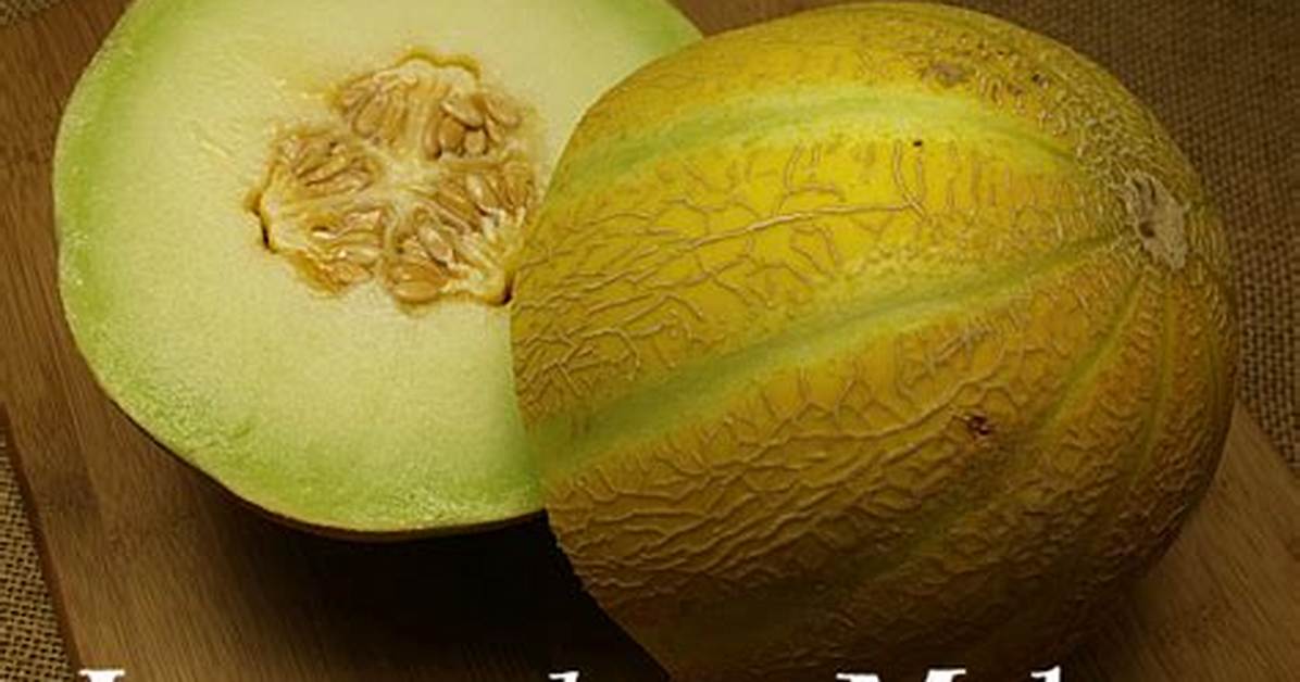 Lemon Drop Melon