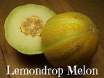 Lemon Drop Melon