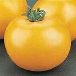 Lemonboy Tomato