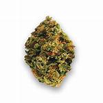 Lemonhead Strain