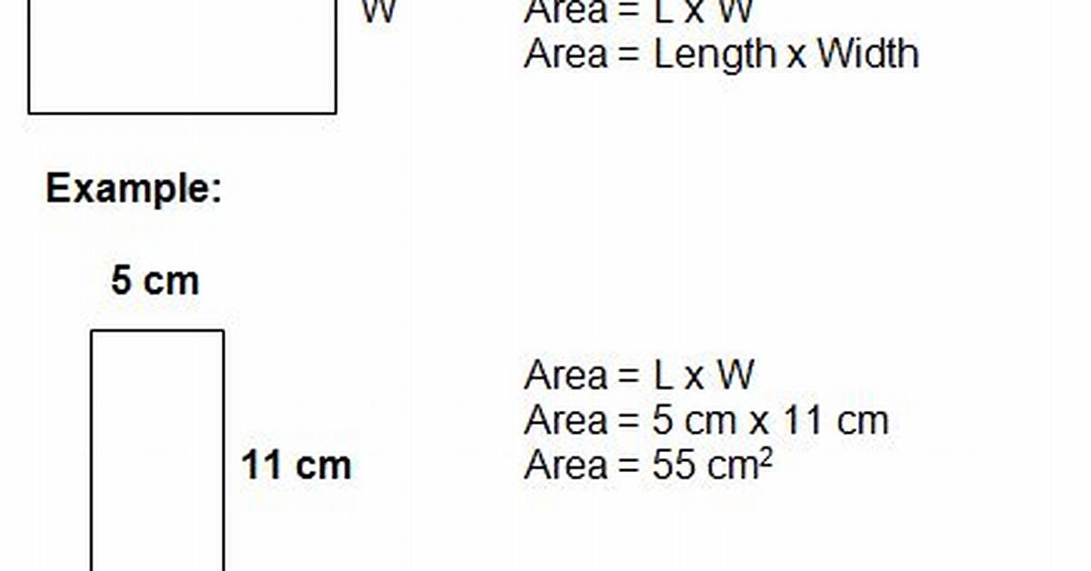 Length Times Width for a Rectangle