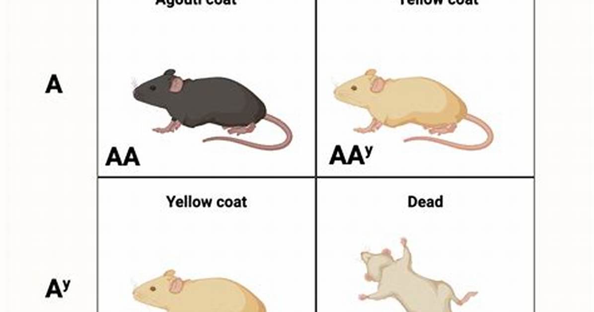 Lethal Allele