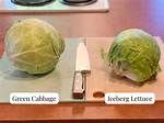 Lettuce vs Cabbage