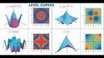 Level Curves