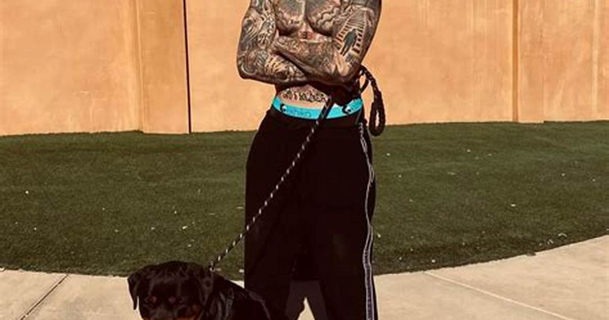 Liangelo Ball Pets - Celebrity Pets