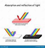 Light Absorption